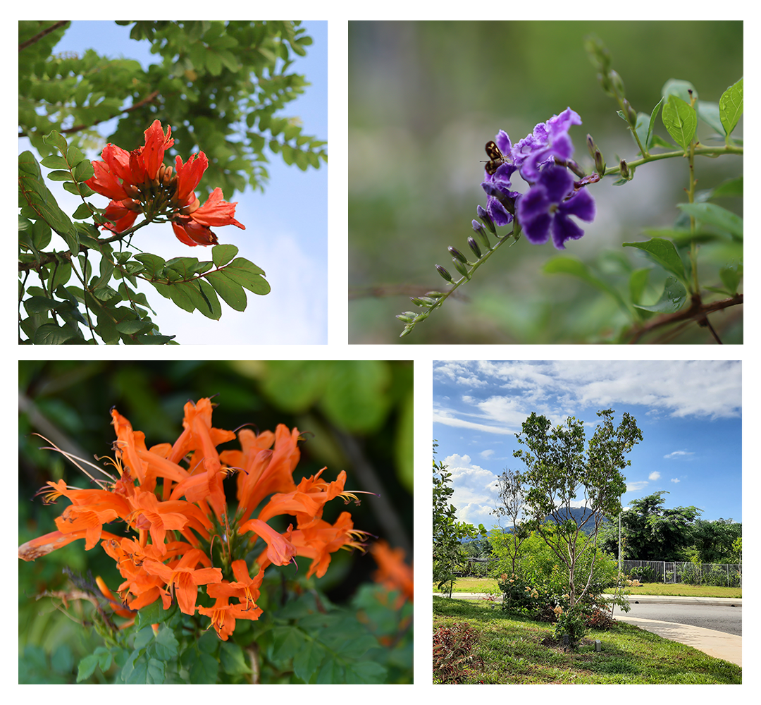 ecology-wisdom-park